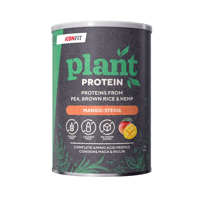 ICONFIT Kasviproteiini (480g)